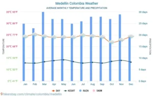 Daily Temperature Forecasts