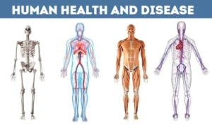 Human Health And Disease Class 12 Notes Everything What You Need