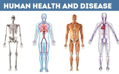 Human Health And Disease Class 12 Notes Everything What You Need