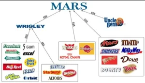 Marketing Strategies Of Mars Brands