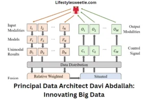 principal data architect davi abdallah