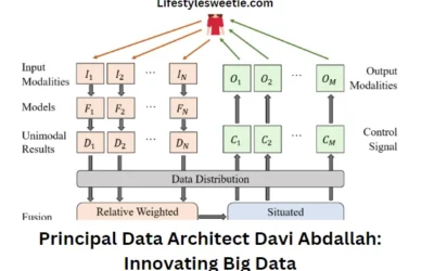 principal data architect davi abdallah